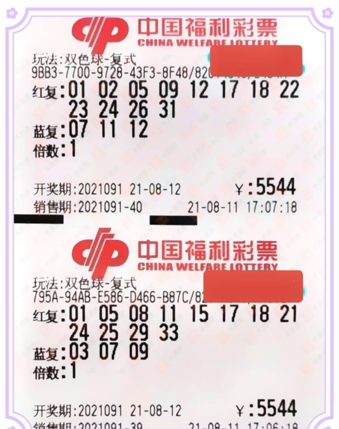 4949彩正版免费资料,揭秘4949彩正版免费资料，真相、风险与明智选择