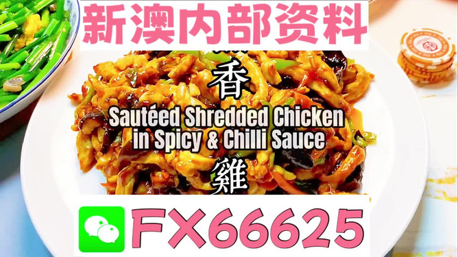 2024新奥精准资料免费大全,揭秘2024新奥精准资料免费大全——全方位解读最新动态与资源汇总