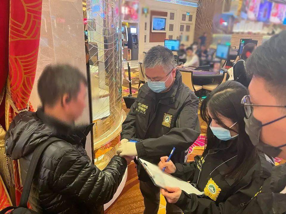 新2024年澳门天天开好彩|诠释释义解释落实,新2024年澳门天天开好彩——诠释、释义、解释与落实背后的违法犯罪问题